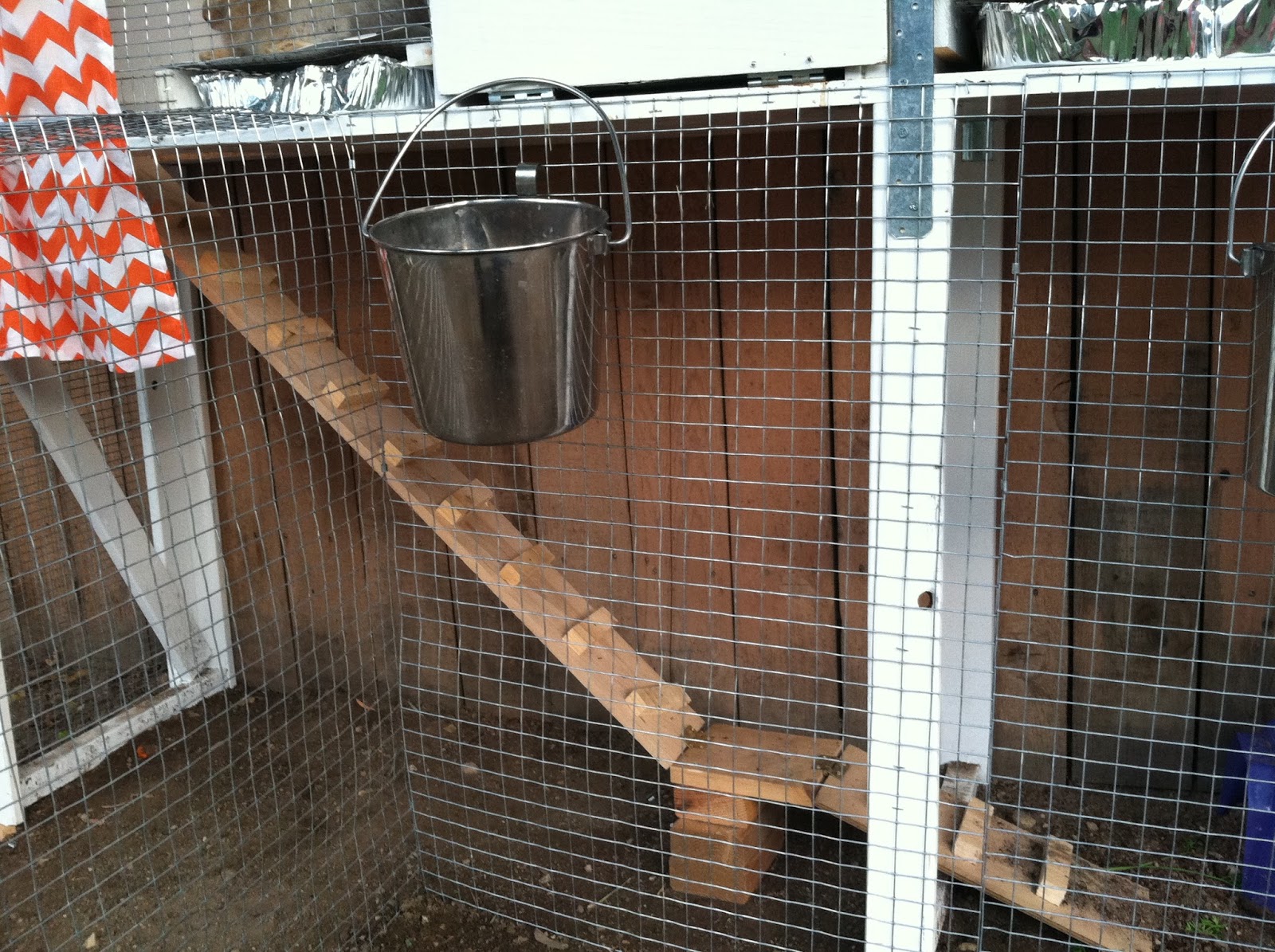 So many types of Windex, so little time... Rabbit Hutch...